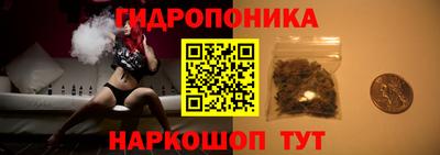 spice Аша