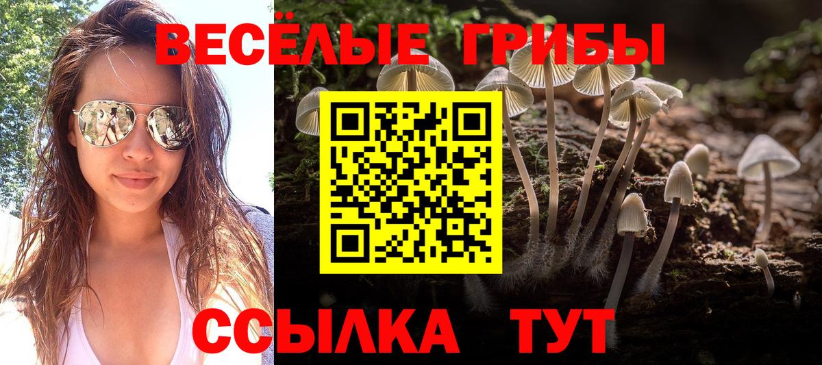 Волжский  Галлюциногенные грибы Cubensis  Вход с VPN 